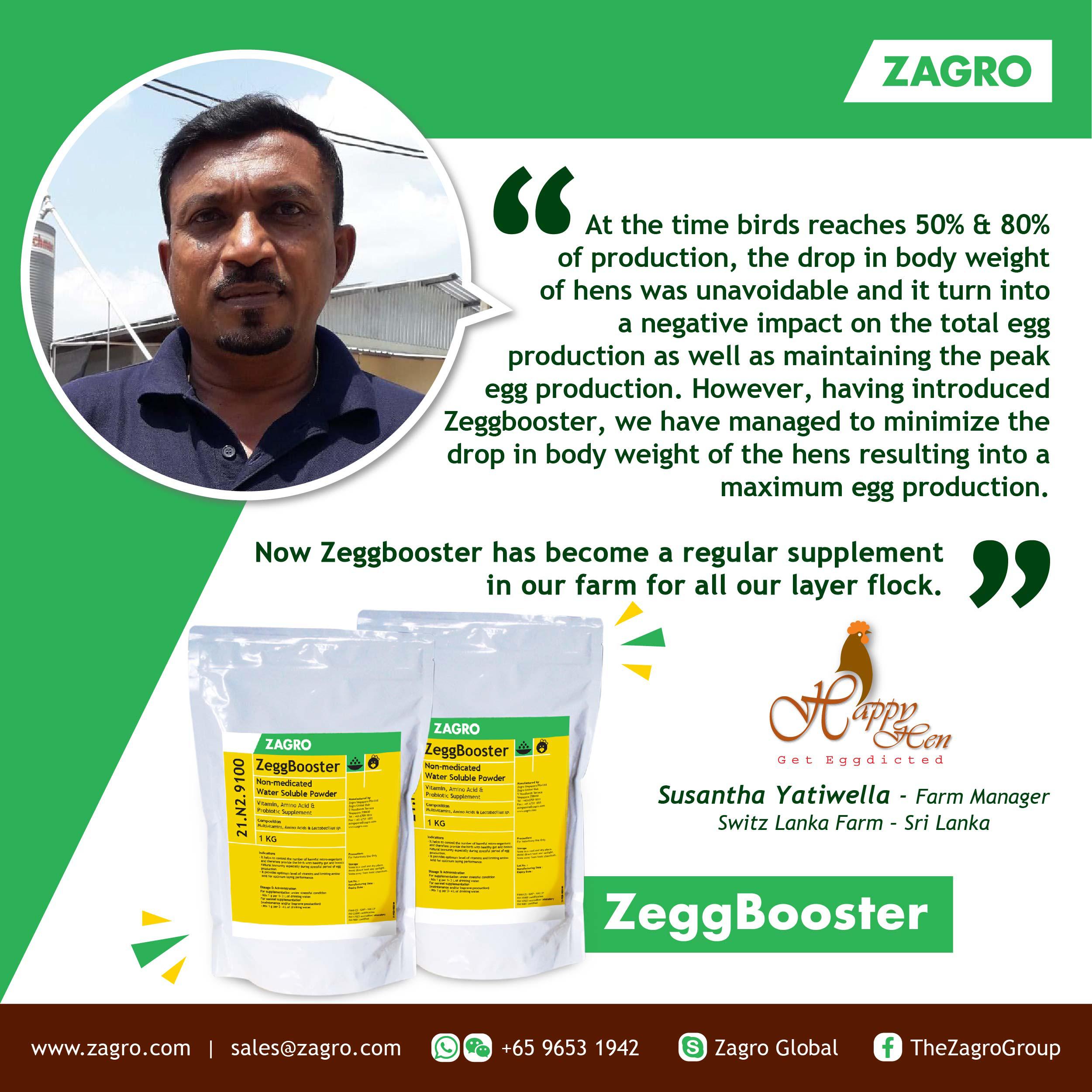 ZeggBooster